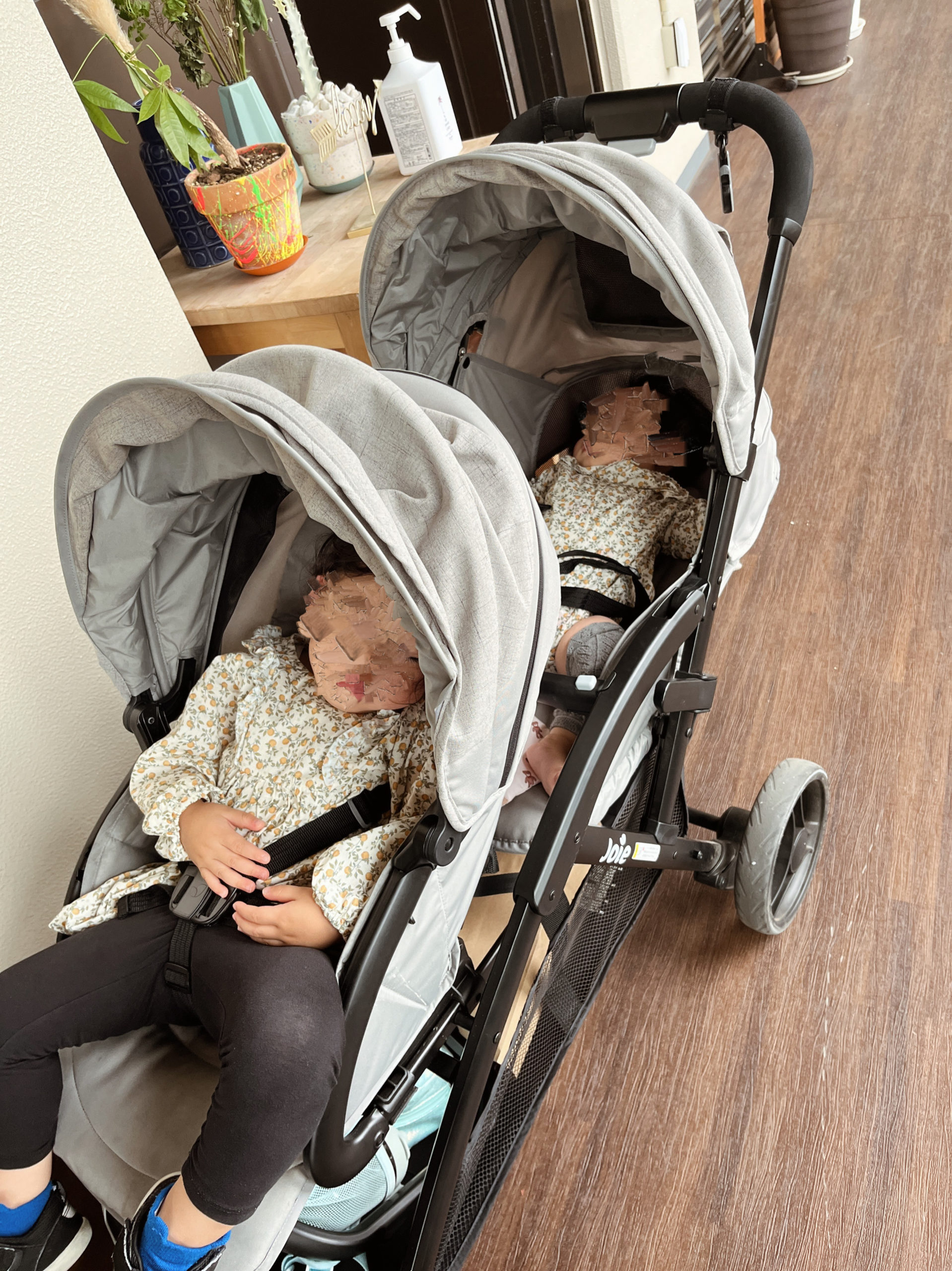 エヴァライトデュオで眠る年子姉妹